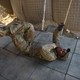 A U.S. Army soldier checking his phone in Afghanistan.